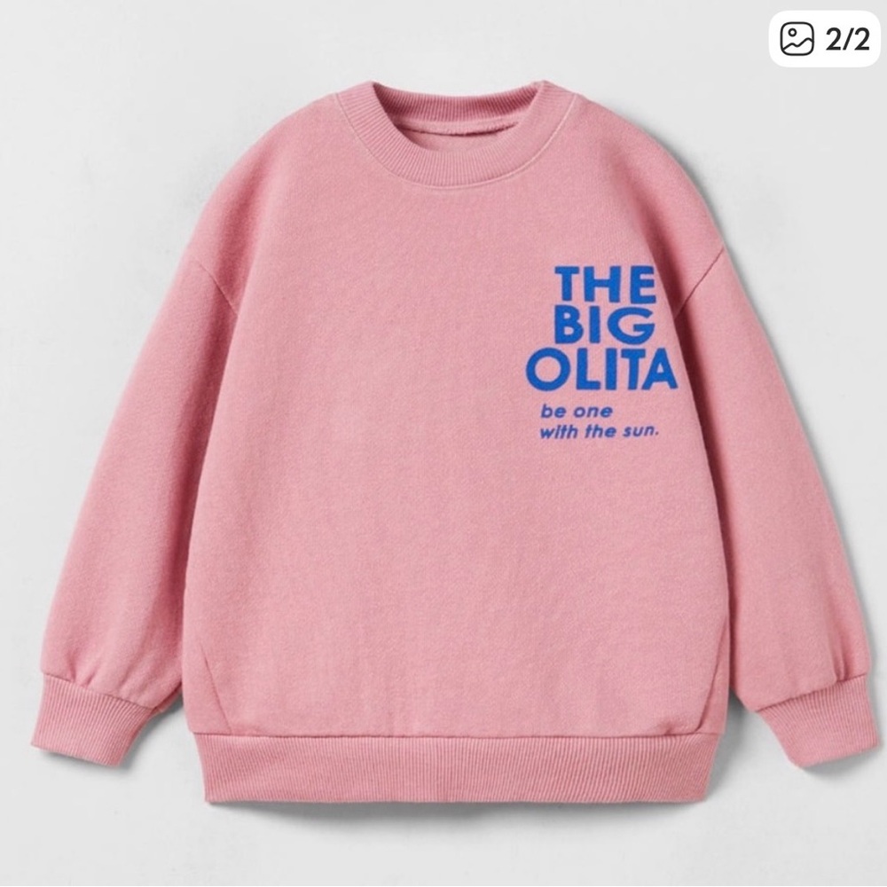 ISO Zara Big OLITA sweater